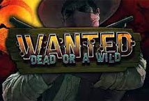 Wanted Dead or a Wild Slot Review